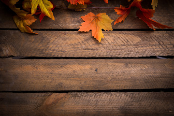 Herbstblätter