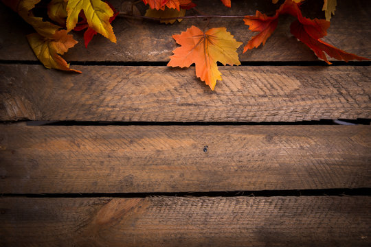 Herbstbl&auml;tter