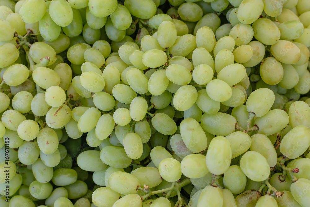 Wall mural Piles of green grapes at the market