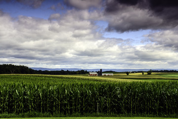 scenic vista of corn and wheat fields farm and distant mountains on cloudy day