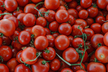 Small tomatoes on the vine fresh from farm to market