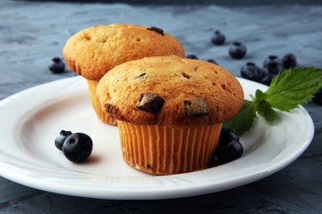 Freshly baked blueberry muffins with fresh blueberries