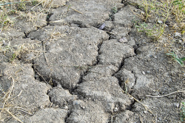 Rainless dry, cracking soil, cracked soil pictures, drought pictures.
