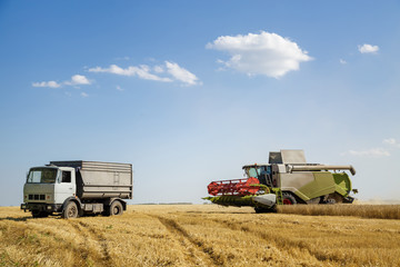 Working combine harvester in a wheat field. Agricultural background.