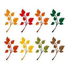 Elegant and beautiful autumn leaves and elements. Bright images for Thanksgiving Day