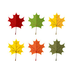 Elegant and beautiful autumn leaves and elements. Bright images for Thanksgiving Day