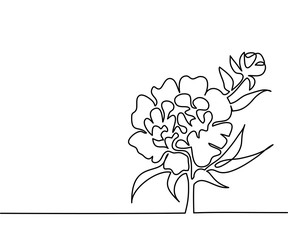 Beautiful flowers peony. Continuous line drawing. Vector illustration