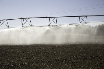 Sprinkler irrigation field