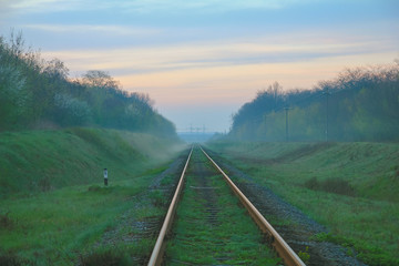 Fototapeta na wymiar Railway line passing through the forest