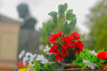 Red flowers in the park at morning