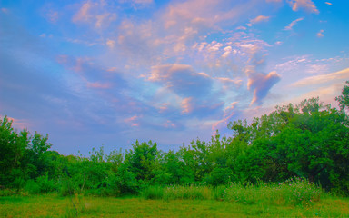 Illuminated by sunshine alley in mountain forest
