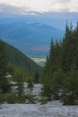 Spring landscape in the Carpathian mountains