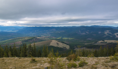 Spring landscape in the Carpathian mountains