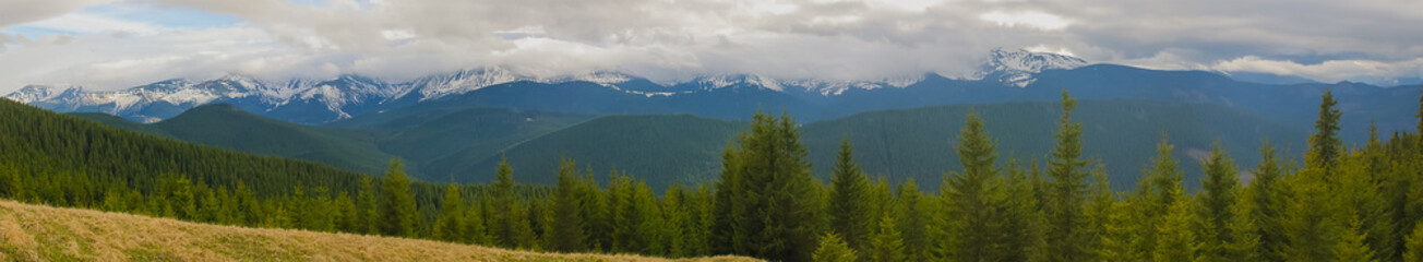 Obraz premium Spring landscape in the Carpathian mountains