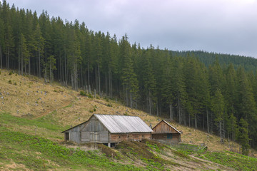 Forester's Cabin in the forest