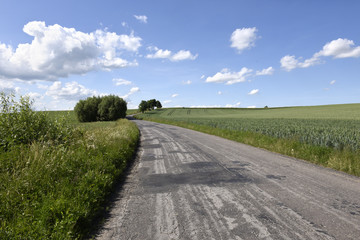 Fototapeta na wymiar droga przez pola