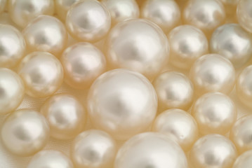 Natural south seas pearls