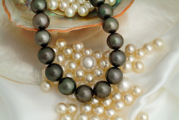 Natural south seas pearls