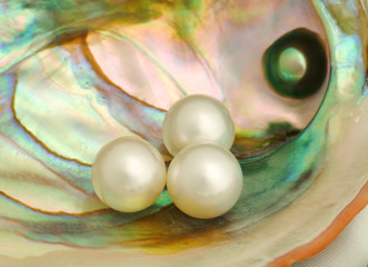 Natural south seas pearls