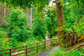Waterfall Trail at Glenariff Forest Park, Co. Antrim. Hiking in Northern Ireland. Causeway Coastal Route.