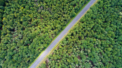 Photo aérienne d'une route dans la forêt de Chinon - obrazy, fototapety, plakaty