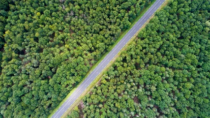Poster Photo aérienne d'une route dans la forêt de Chinon © altitudedrone