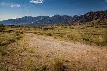 Dirt Road In Southern New Mexico Desert