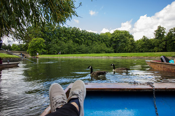 Obraz premium Cambridge river landscape view from the punting boat
