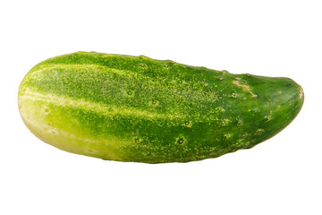 Ripe cucumber on a white background
