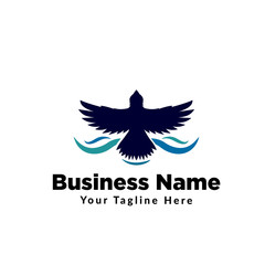 Obraz premium eagle fly