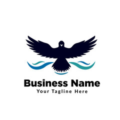 Obraz premium eagle fly