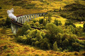 Steam train on viaduct