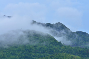 foggy on top mountain