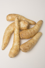 Arracacha - Arracacia xanthorrhiza