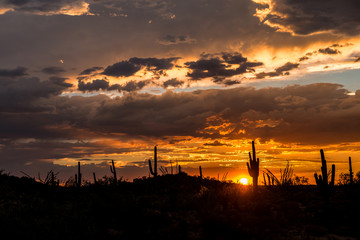 Sunset in the Desert in Arizona
