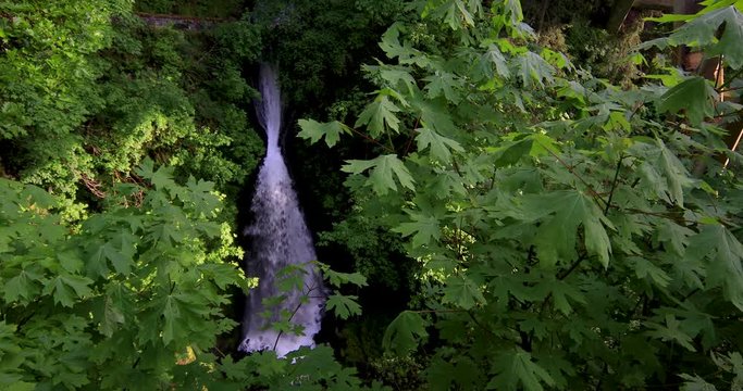 Shepperd's Dell Falls, Oregon.