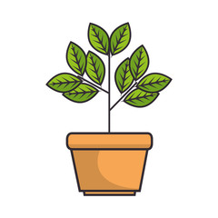 plant in a pot icon