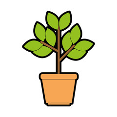 Fototapeta premium plant in a pot icon