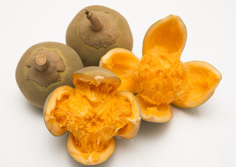 Zapote delicious fruit - Quararibea cordata
