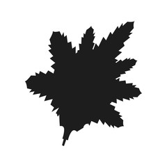 leaf nature plant foliage flora icon vector illustration