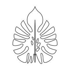 big leaves of tropical monstera plant isolated on white background vector illustration