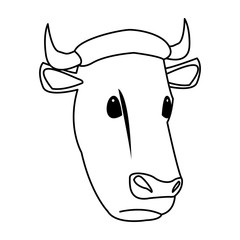 cow head animal farm agriculture fauna vector illustration