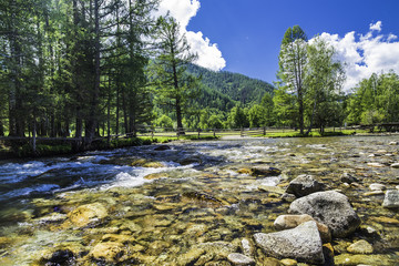 Mountain river in the Altai