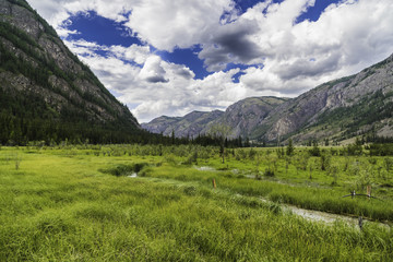Fototapeta na wymiar Summer mountain landscape of Altai
