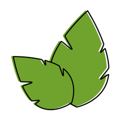 Leaves eco symbol