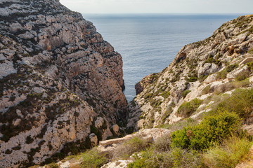 Fototapeta na wymiar Limestone rocks covered by exotic plants - coast of Malta island. Natural haven in rocks