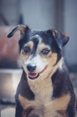 Put on your happy face