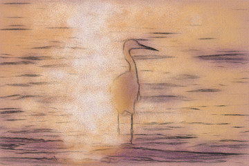 Conte Drawing; The Silhouette of the Snowy Egret at the Malibu Lagoon