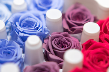 Box of Colorful Roses for Preserved Flower Arrangement