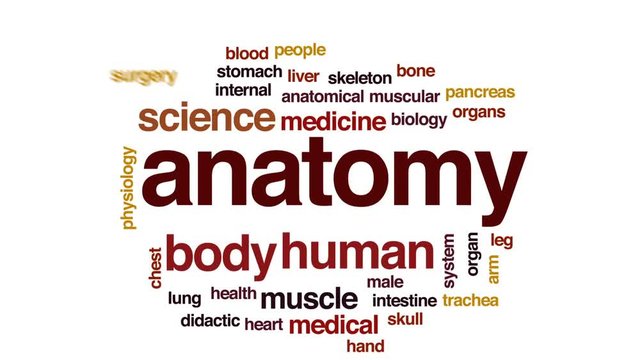 Anatomy animated word cloud, text design animation.